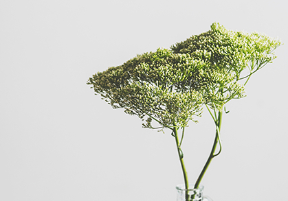  deepseek搜索：校长你理顺学校的层级管理吗