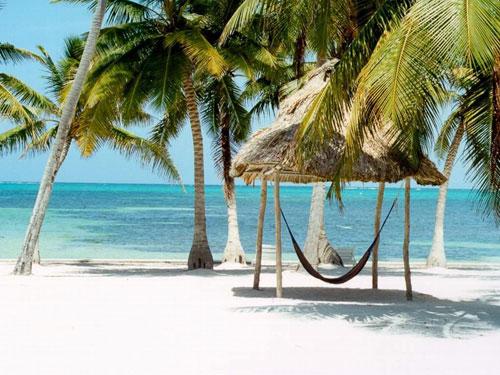 阅览室开放通知