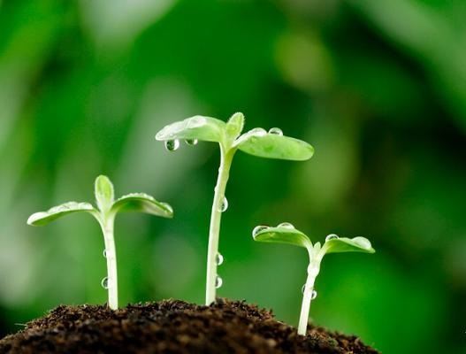  eFrameWork的HelloWorld