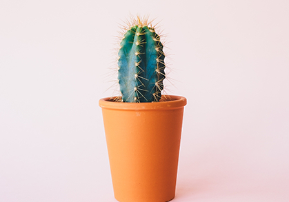  deepseek:语文学科活动日